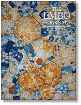 The EMBO Journal