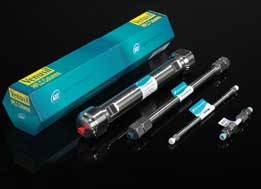 A Mix-model HPLC Stationary Phase C18/SAX Improve Separation 